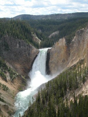 Yellowstone Falls